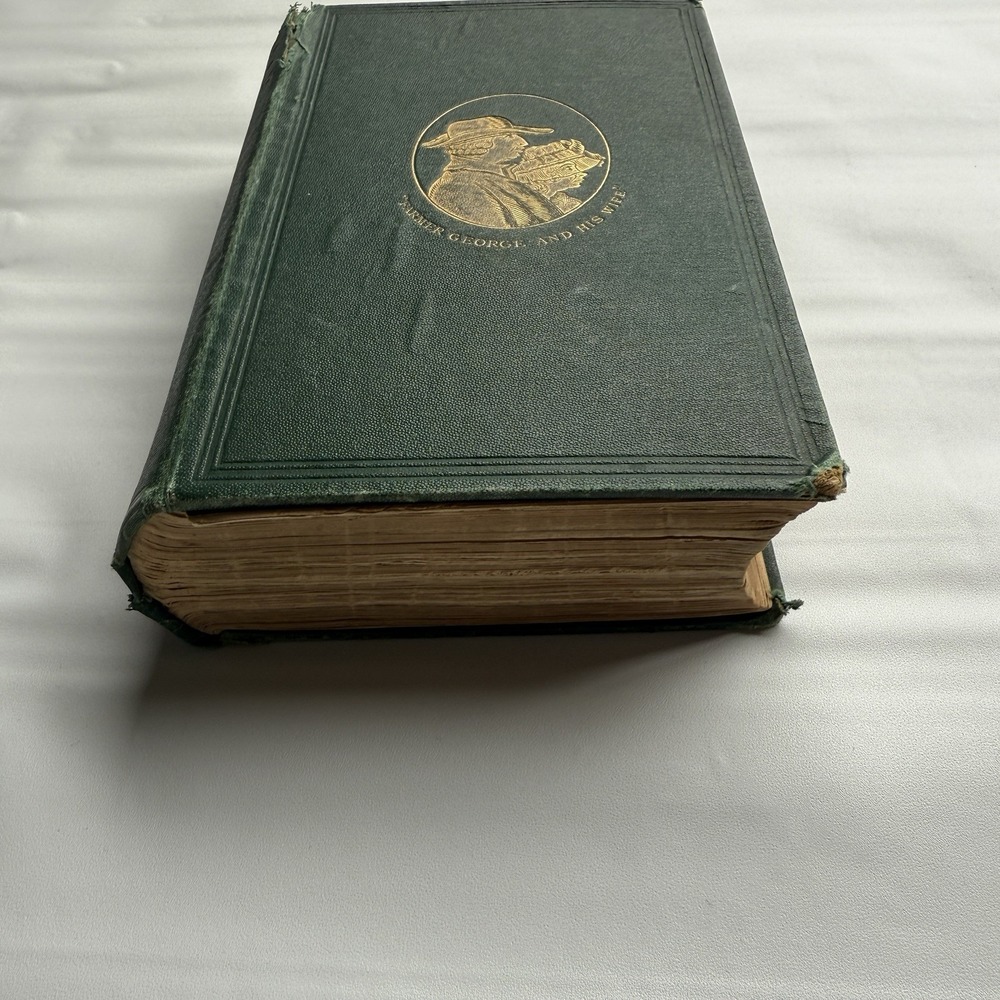 CARICATURE HISTORY OF THE GEORGES - THOMAS WRIGHT - illustrated Antique HB 1876 - Picture 5 of 14